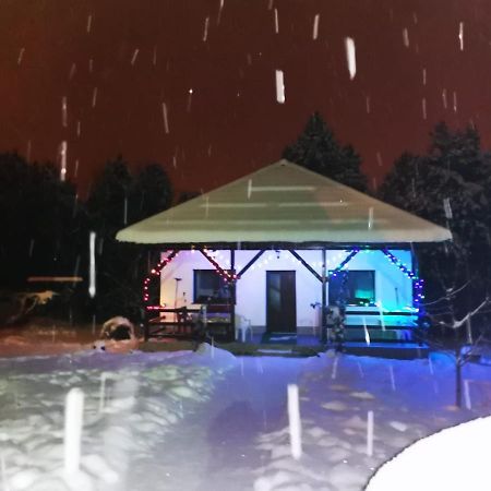 Limpedea Green House Baia Mare Exterior foto