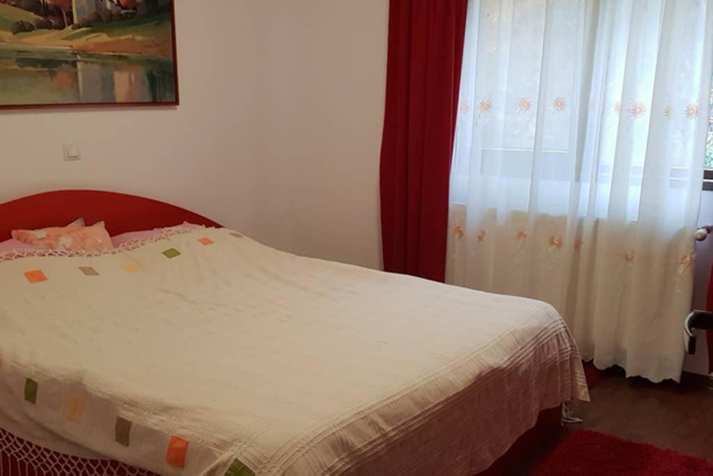 Limpedea Green House Baia Mare Exterior foto
